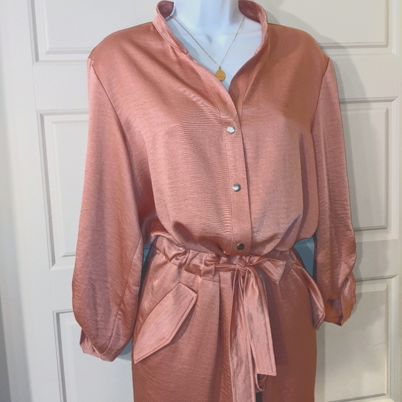 Jennifer Lopez Pink Satin Jumpsuit - Picture 2 of 2